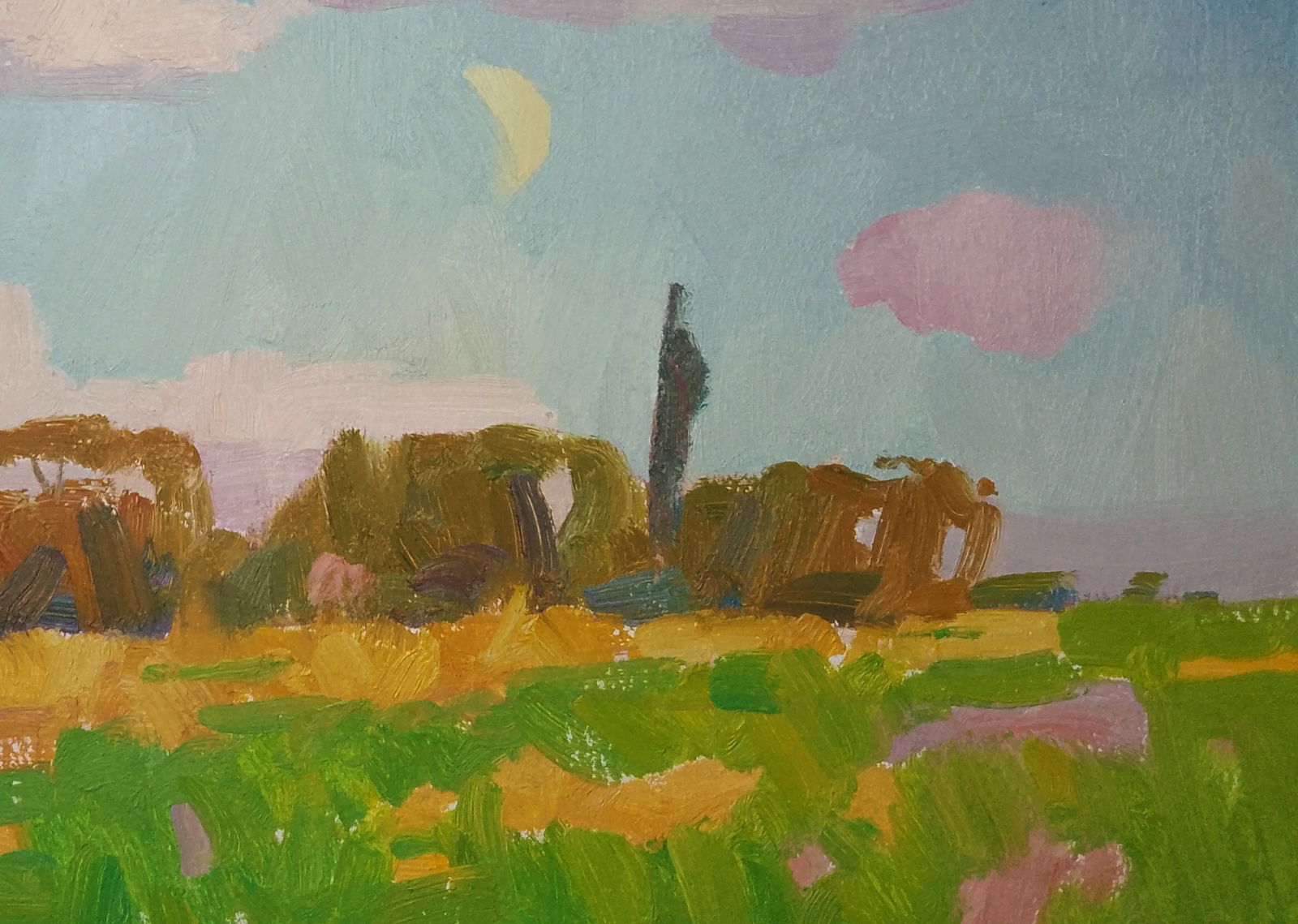 Oil painting The summer smell of nature Igor Tuzhikov - 2