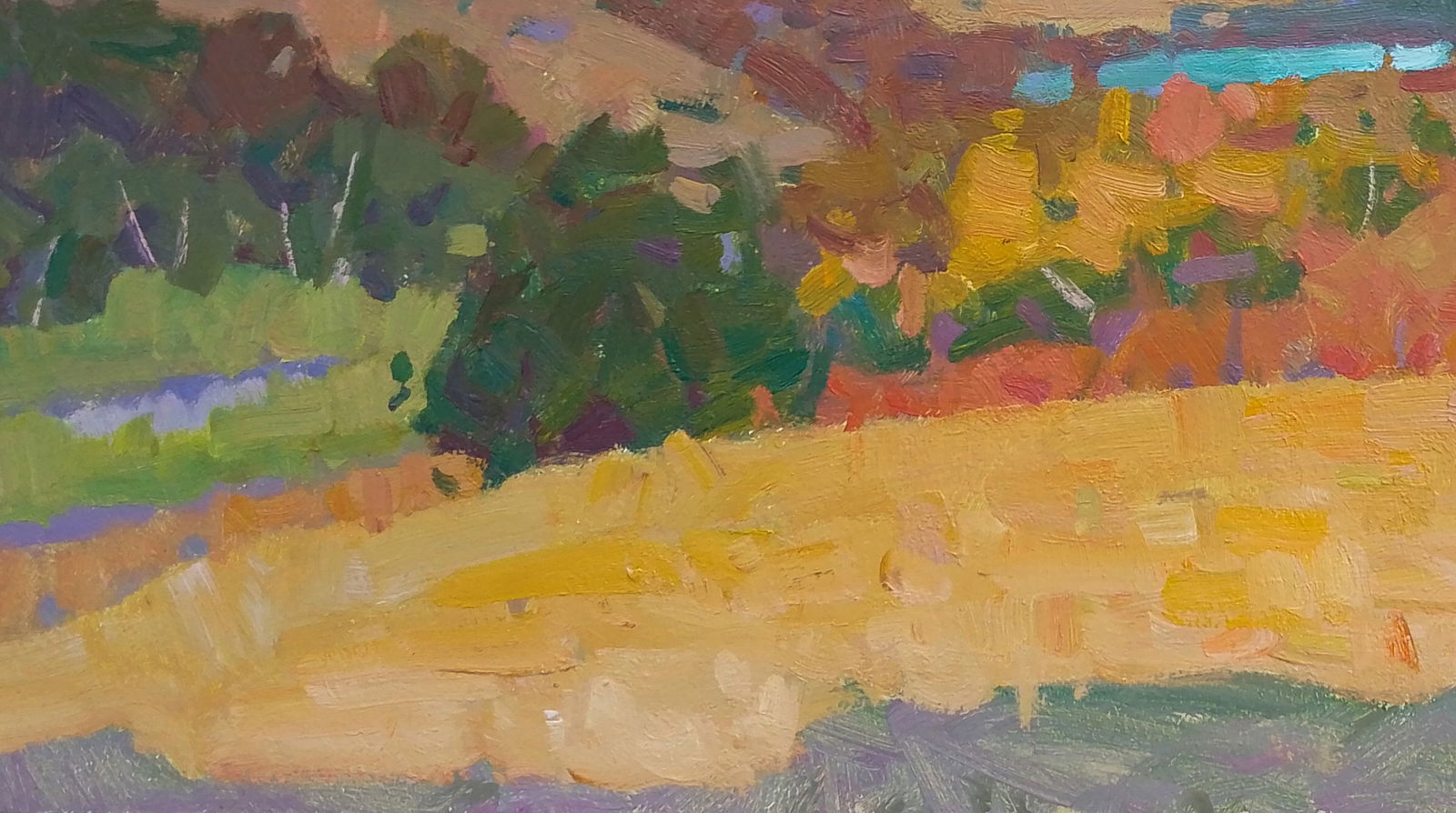 Oil painting A hot summer evening Igor Tuzhikov - 3