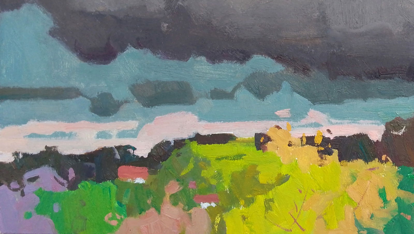 Oil painting The rain is coming Igor Tuzhikov - 3