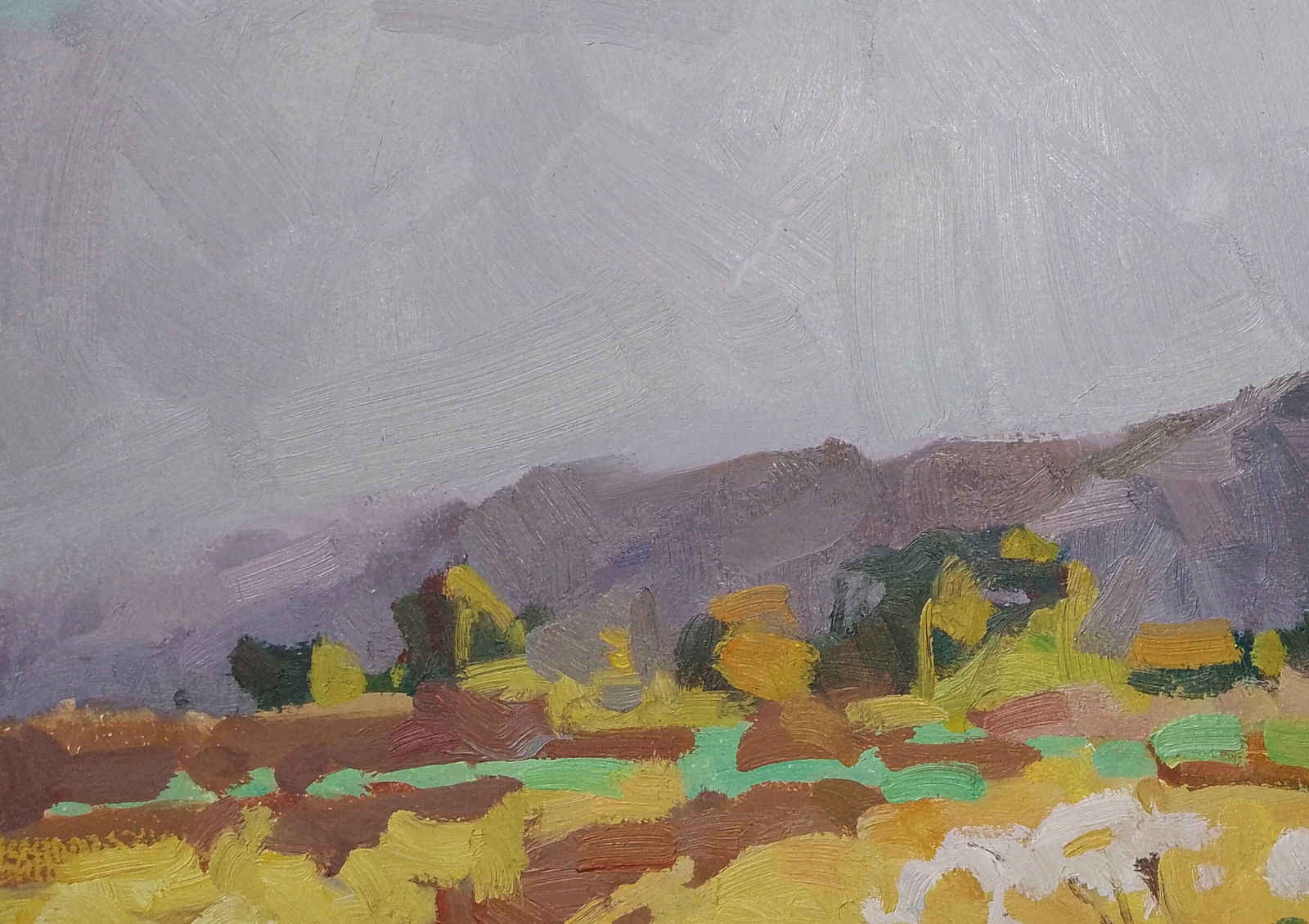 Oil painting Mountain freshness Igor Tuzhikov - 3