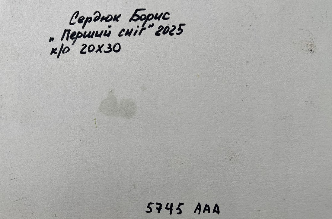 Oil painting The first snow fell Boris Serdyuk - 10