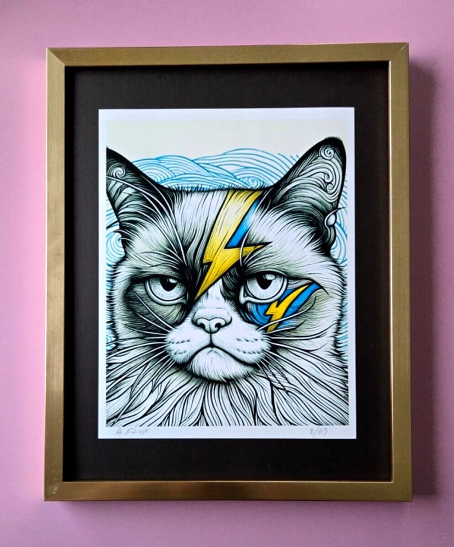 AIDAN FLUX | Hand Signed Original Print Framed LtdEd COA " DAVID BOWIE CAT " (1 of 3)