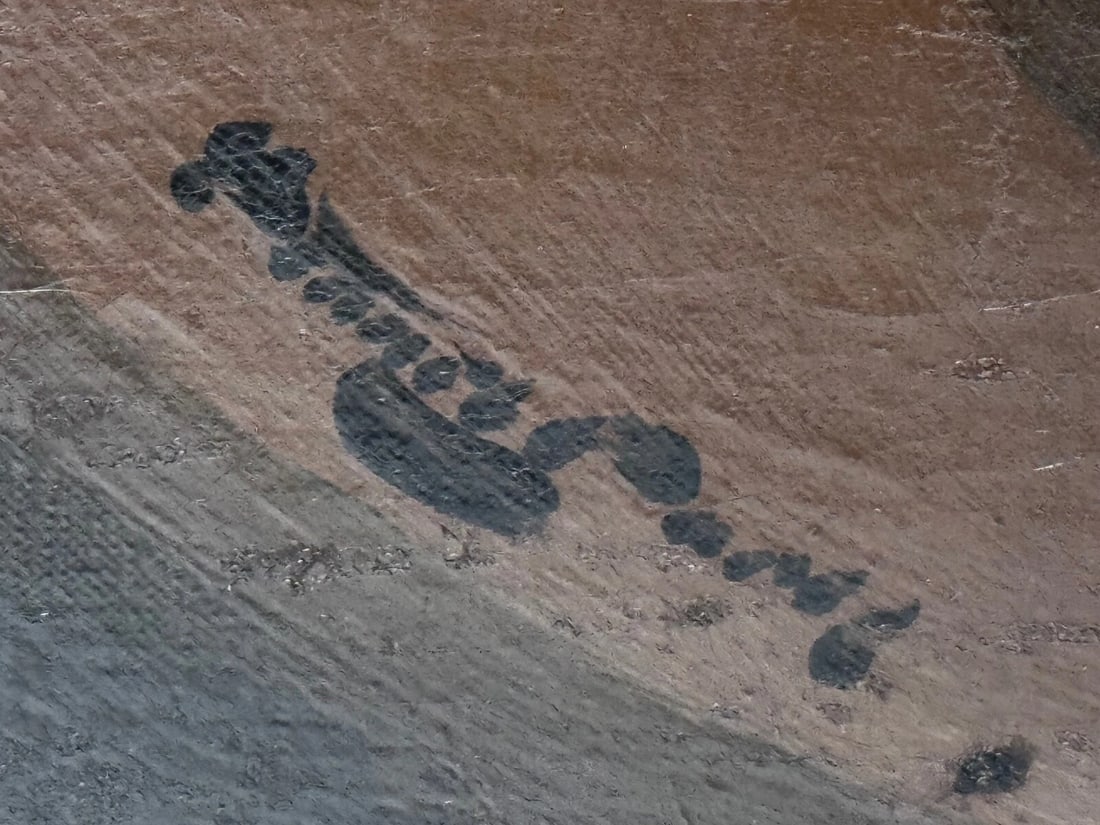 Oil Painting Nocturne In Petals Roses of Fire and Light By James Stuart Park - 12