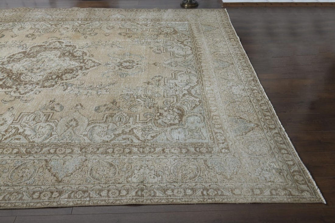 10x12'3 ft, PERSIAN MINIMALIST RUG, Oversized Antique - 7