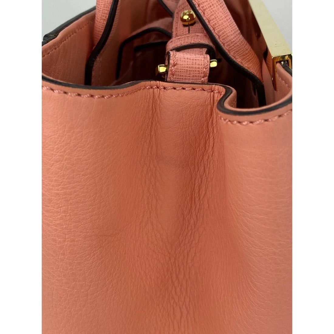 FENDI Vitello Elite Flamingo Petite 2Jours soft pink Ecstasy Hand Bag - 6