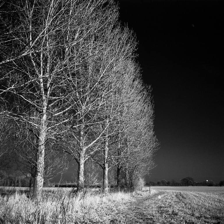 West Thorpe I, Suffolk [Infrared Film] - Silver Gelatin: Title: West Thorpe I, Suffolk [Infrared Film] - Silver Gelatin Description: Title: West Thorpe I, Suffolk [Infrared Film] - Silver Gelatin Photograph - Limited Edition of 10 Artist: Paul Cooklin Origi
