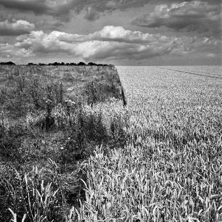 Flixton, Suffolk - Silver Gelatin: Title: Flixton, Suffolk - Silver Gelatin Description: Title: Flixton, Suffolk - Silver Gelatin Photograph - Limited Edition of 10 Artist: Paul Cooklin Origin: United Kingdom Medium: Photography, Gelat