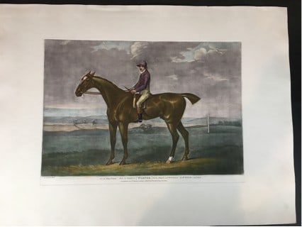 Sartorios Warter. 1802 (1 of 1)