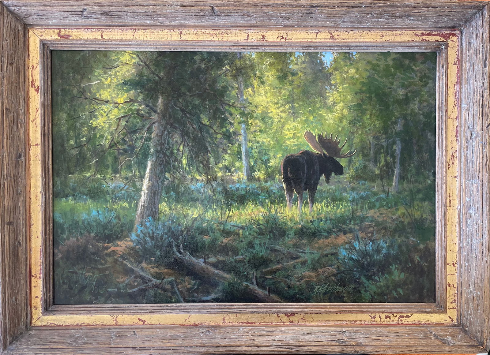 Gros Ventre Bull (1 of 3)