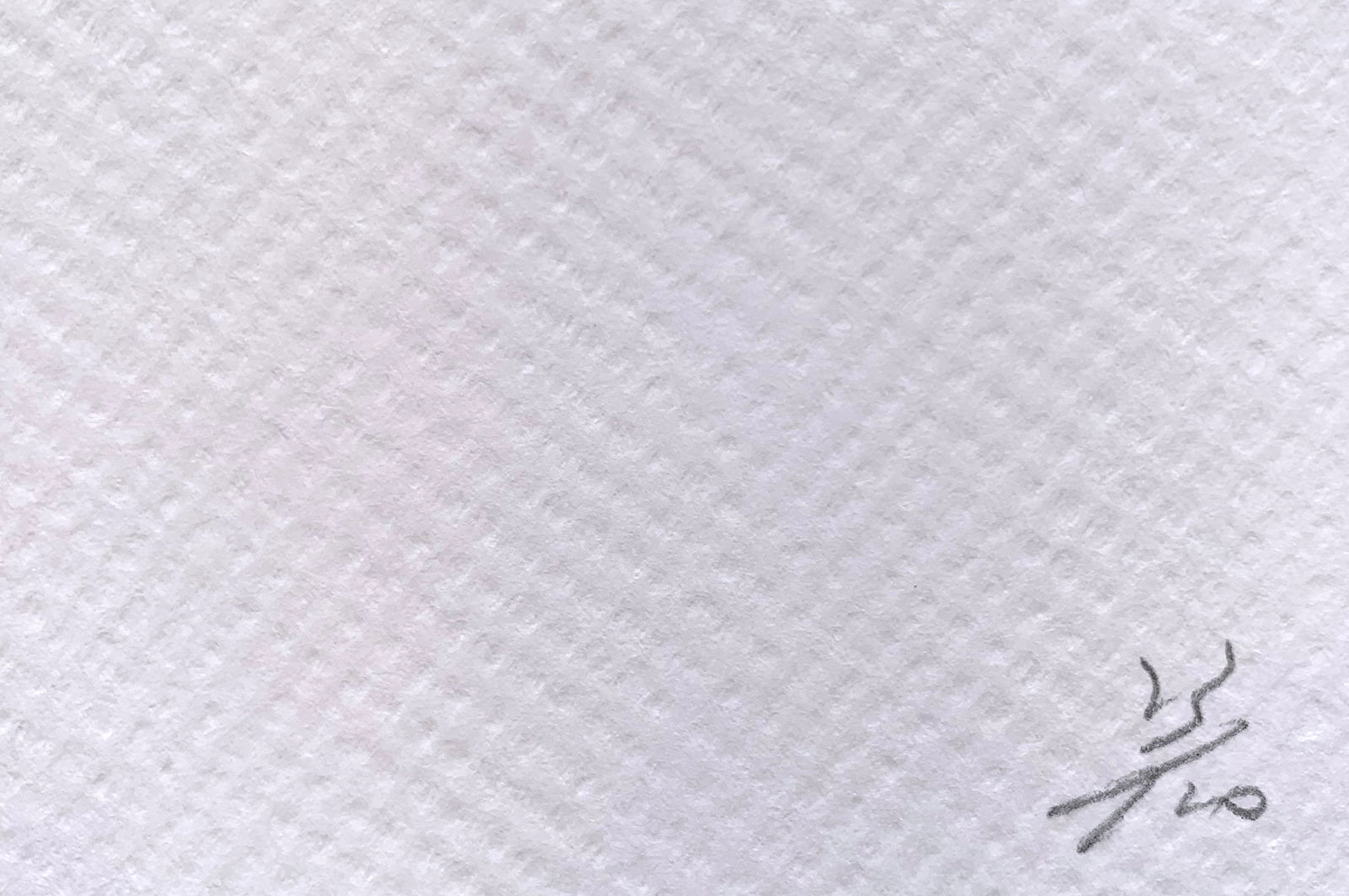 Death NYC Cat Murakami - 3