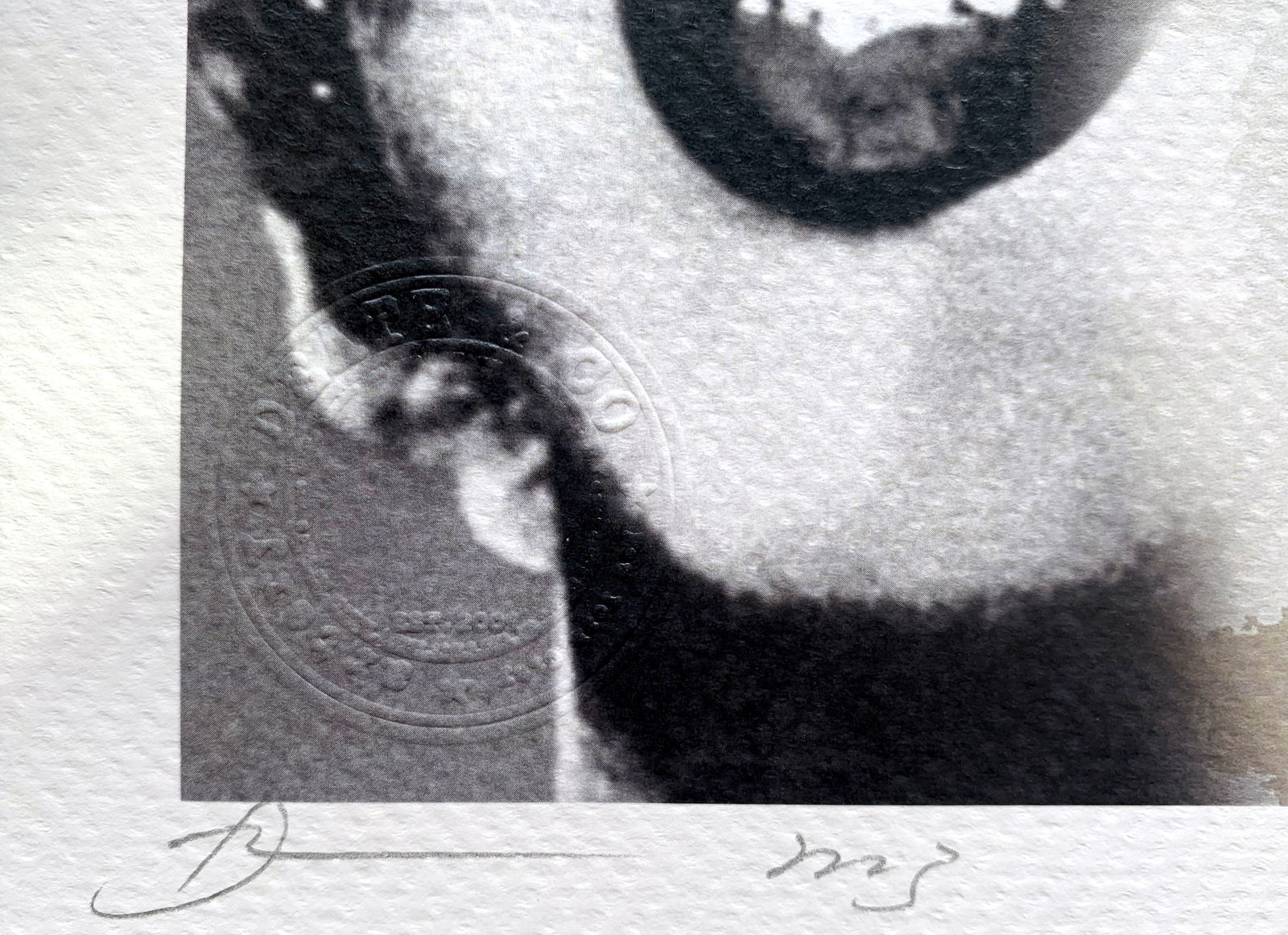 Death NYC Marilyn Cat - 2