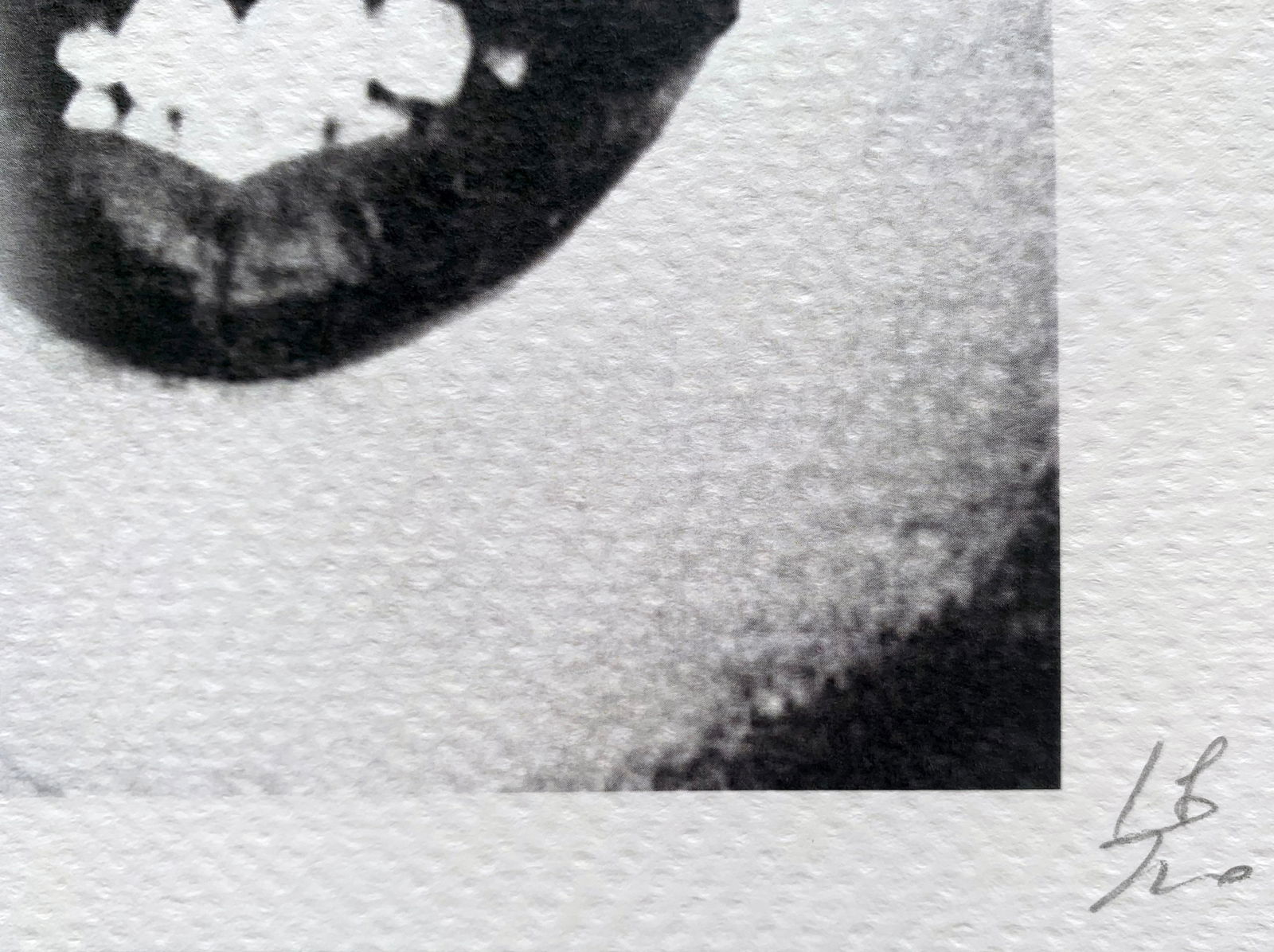 Death NYC Marilyn Cat - 3