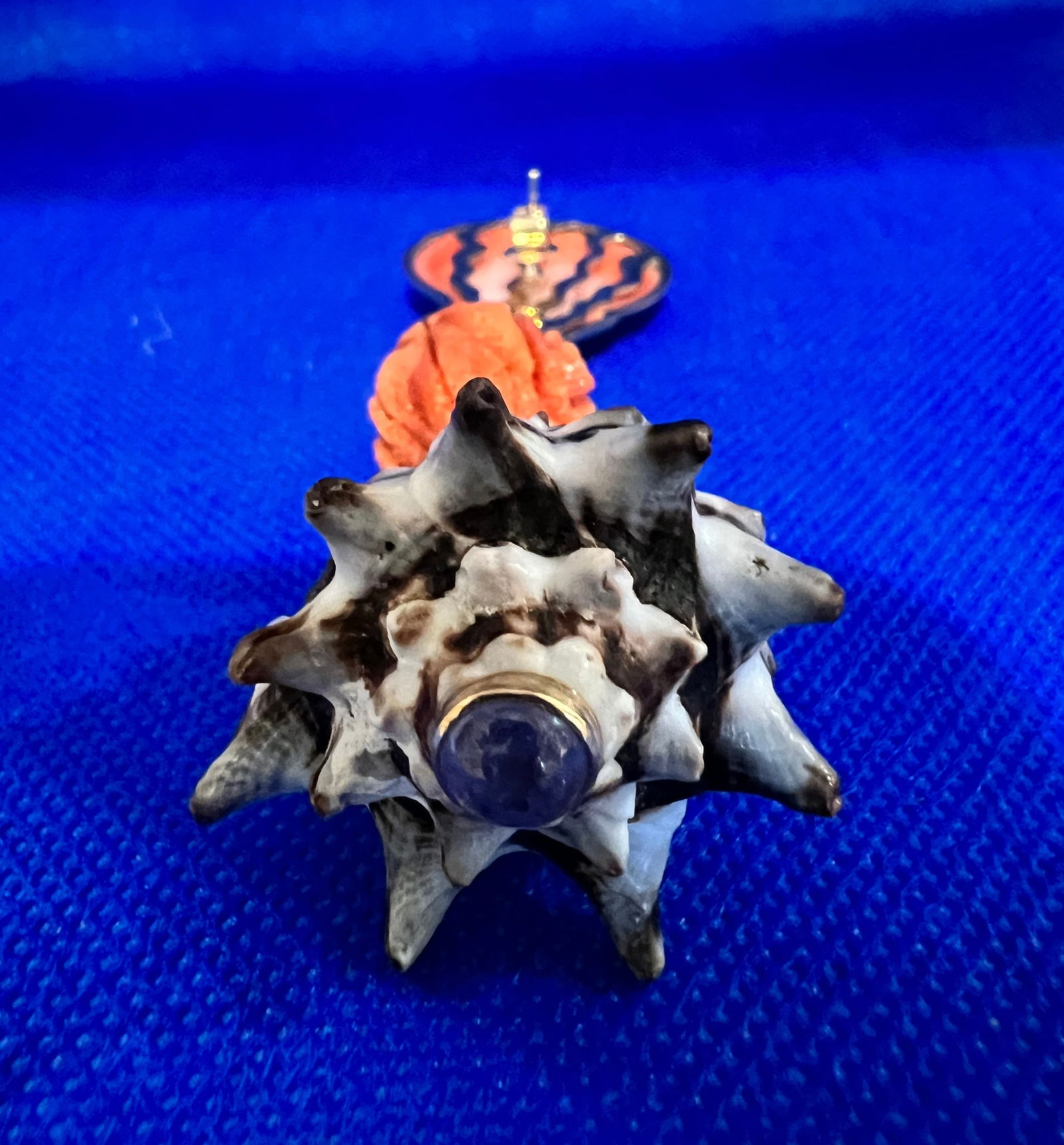 14K Scallop and Coral Murex Earrings - 5