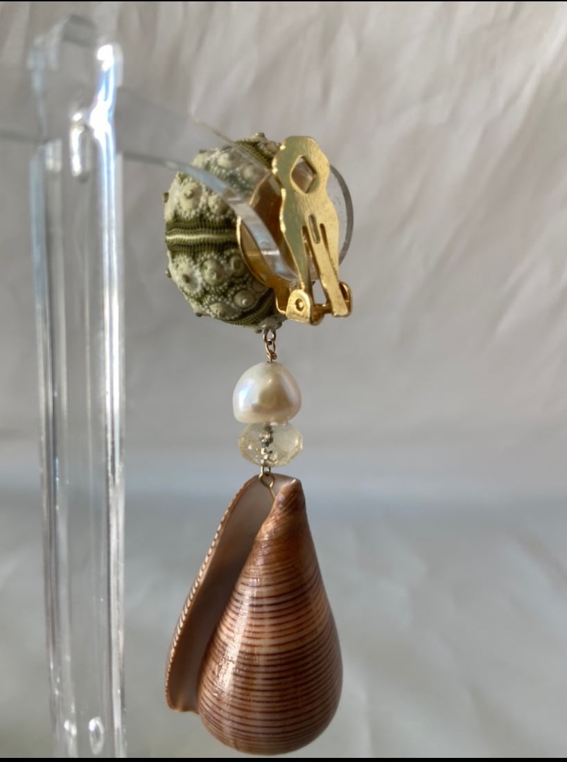 Brown Cone & Urchin Earrings - 2