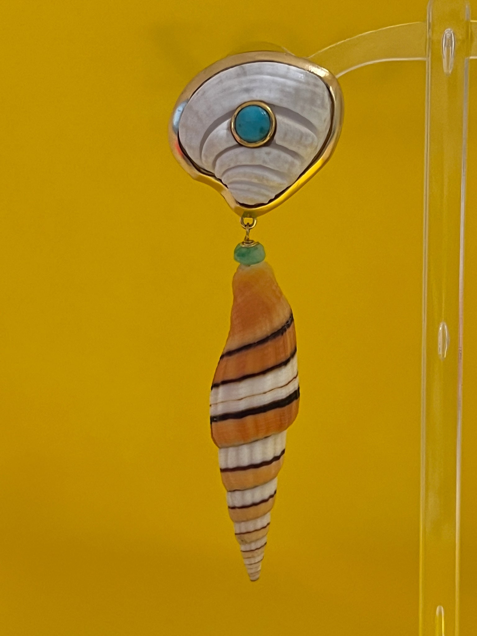 Rare Clam and Terebra Shell Drop Earrings - 2