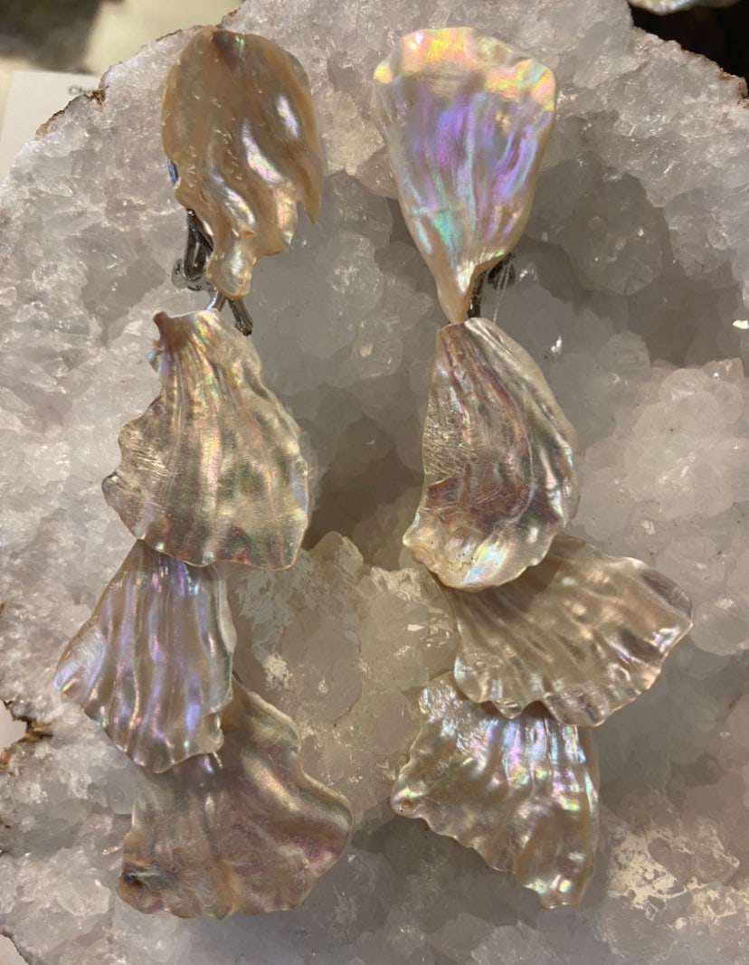Drop Abalone Earrings - 2