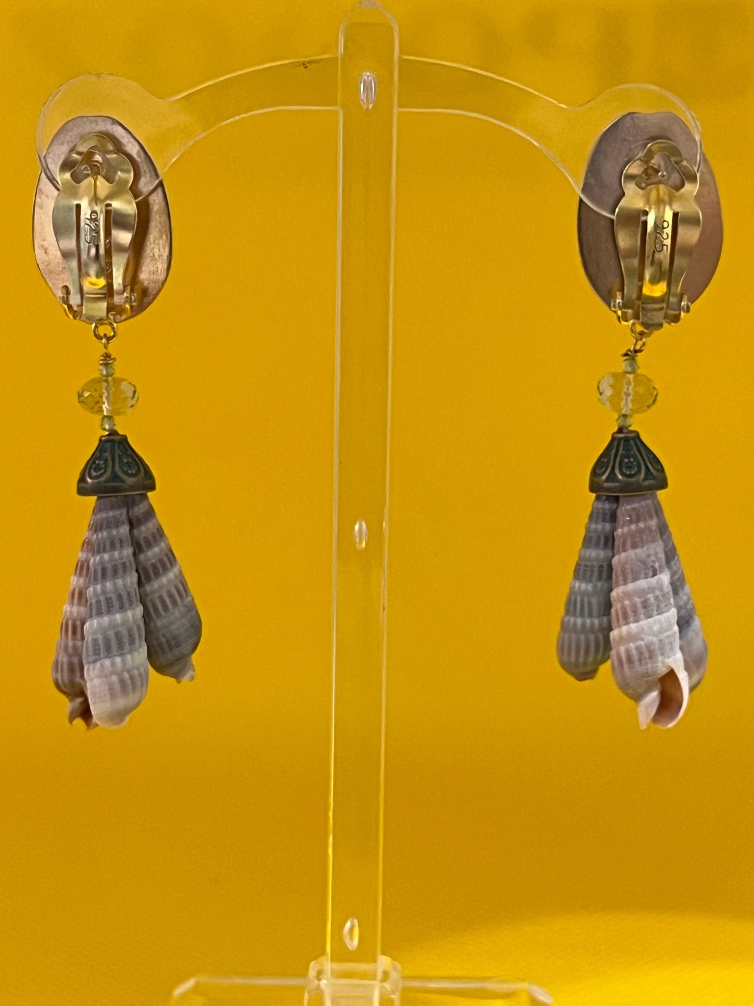 Rare Cowrie and Terebra Shell Drop Earrings - 2