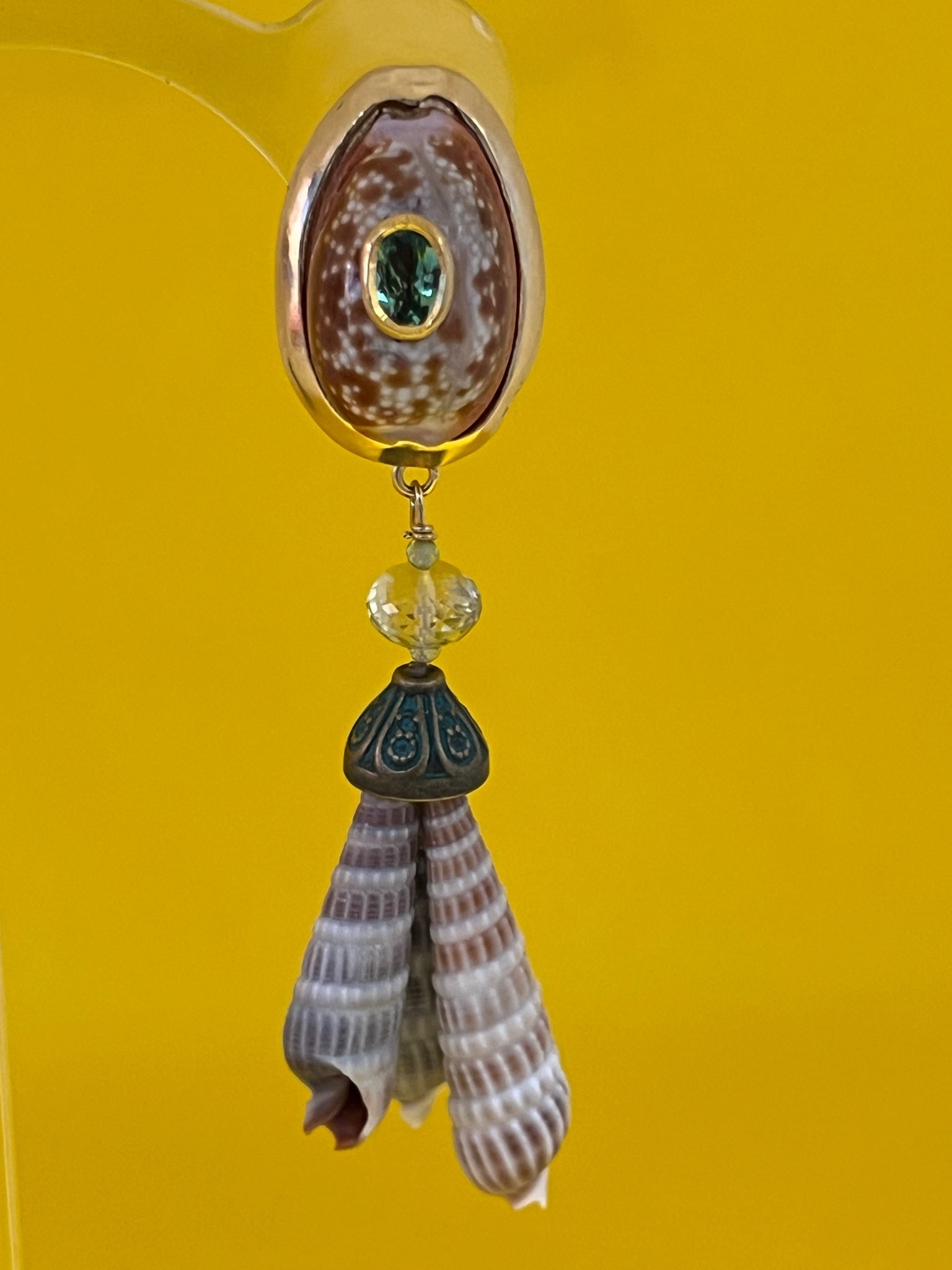 Rare Cowrie and Terebra Shell Drop Earrings - 3