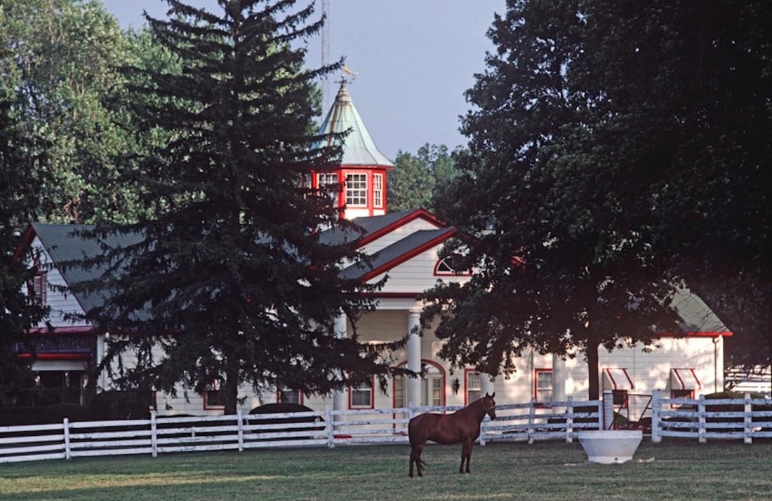 Kentucky Thoroughbred by Alain Le Garsmeur: 1984 (printed later): Title: Kentucky Thoroughbred by Alain Le Garsmeur: 1984 (printed later) Description: Kentucky Thoroughbred by Alain Le Garsmeur A thoroughbred horse on the Calumet horse farm, Blue grass country, Lexi