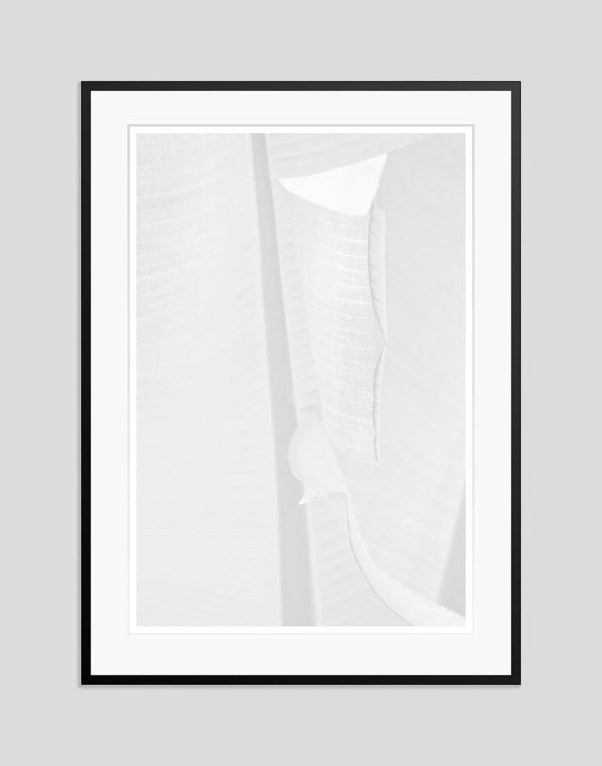 White Leaf by Stuart Möller: 2023 - 8