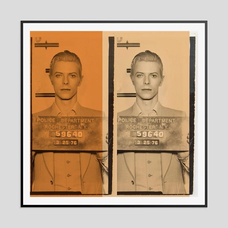 Bowie 2 Bowie by BATIK: 2023 - 7