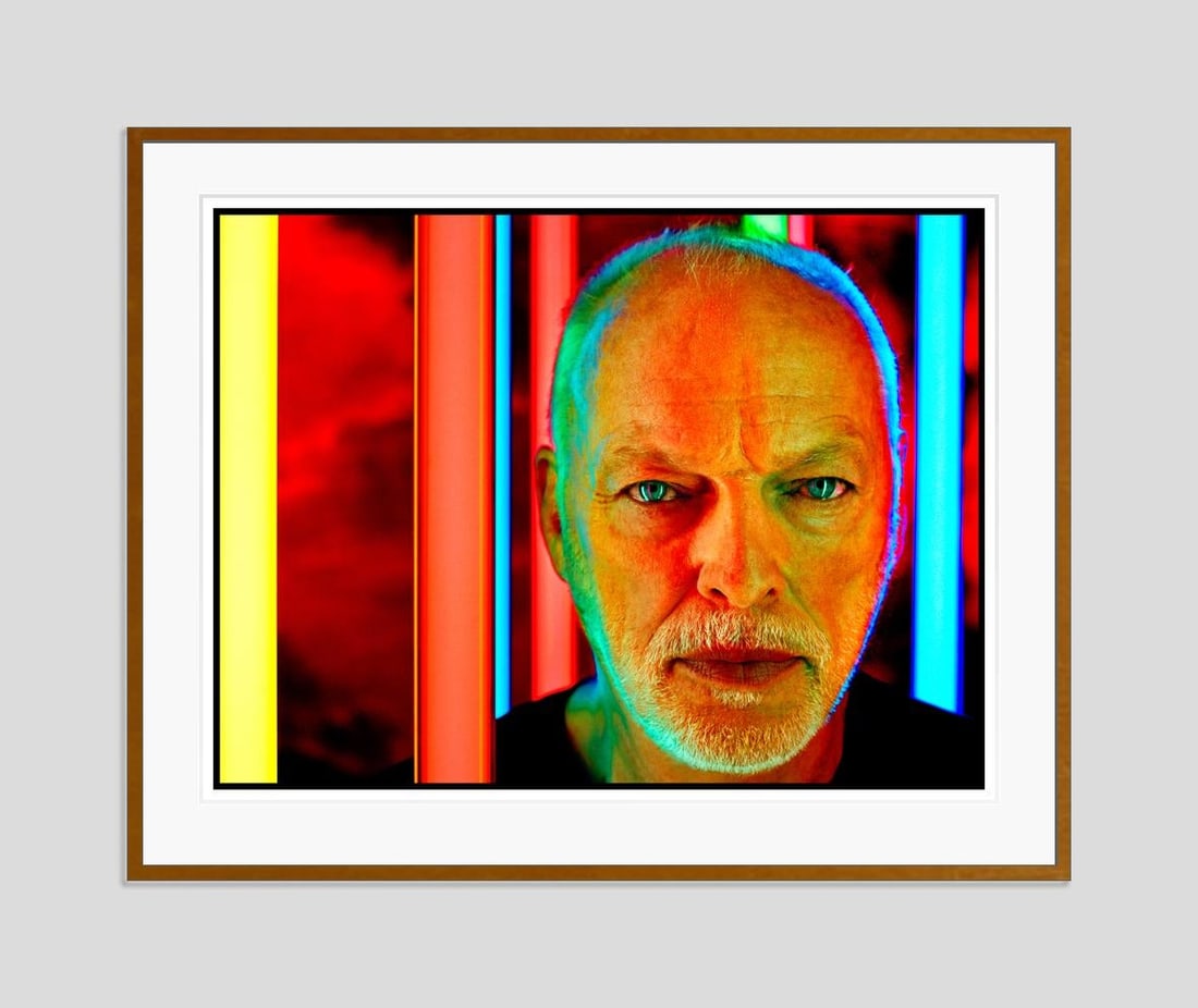 David Gilmour by Kevin Westenberg Signed Limited Edition: 2015 (printed later) - 5