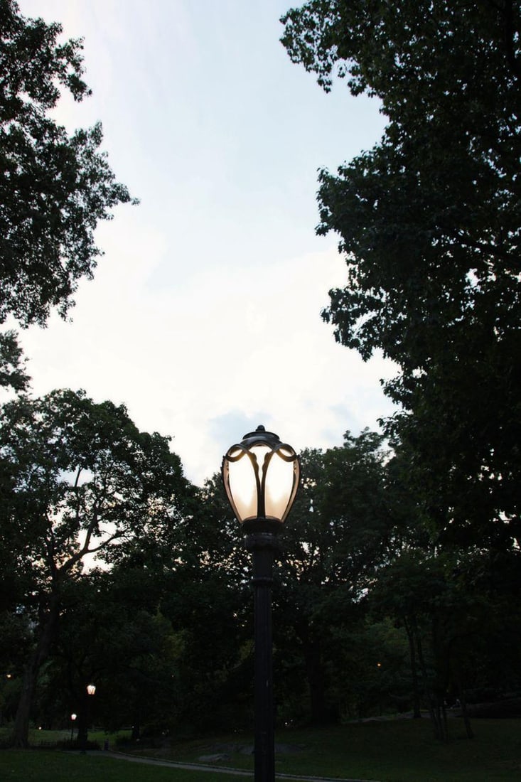 Light Symphony by Stuart Möller: 2023: Title: Light Symphony by Stuart Möller: 2023 Description: Light Symphony A lamp post in Central Park New York City, New York USA by Stuart Möller Born in Kabul, part German and Anglo-Indian