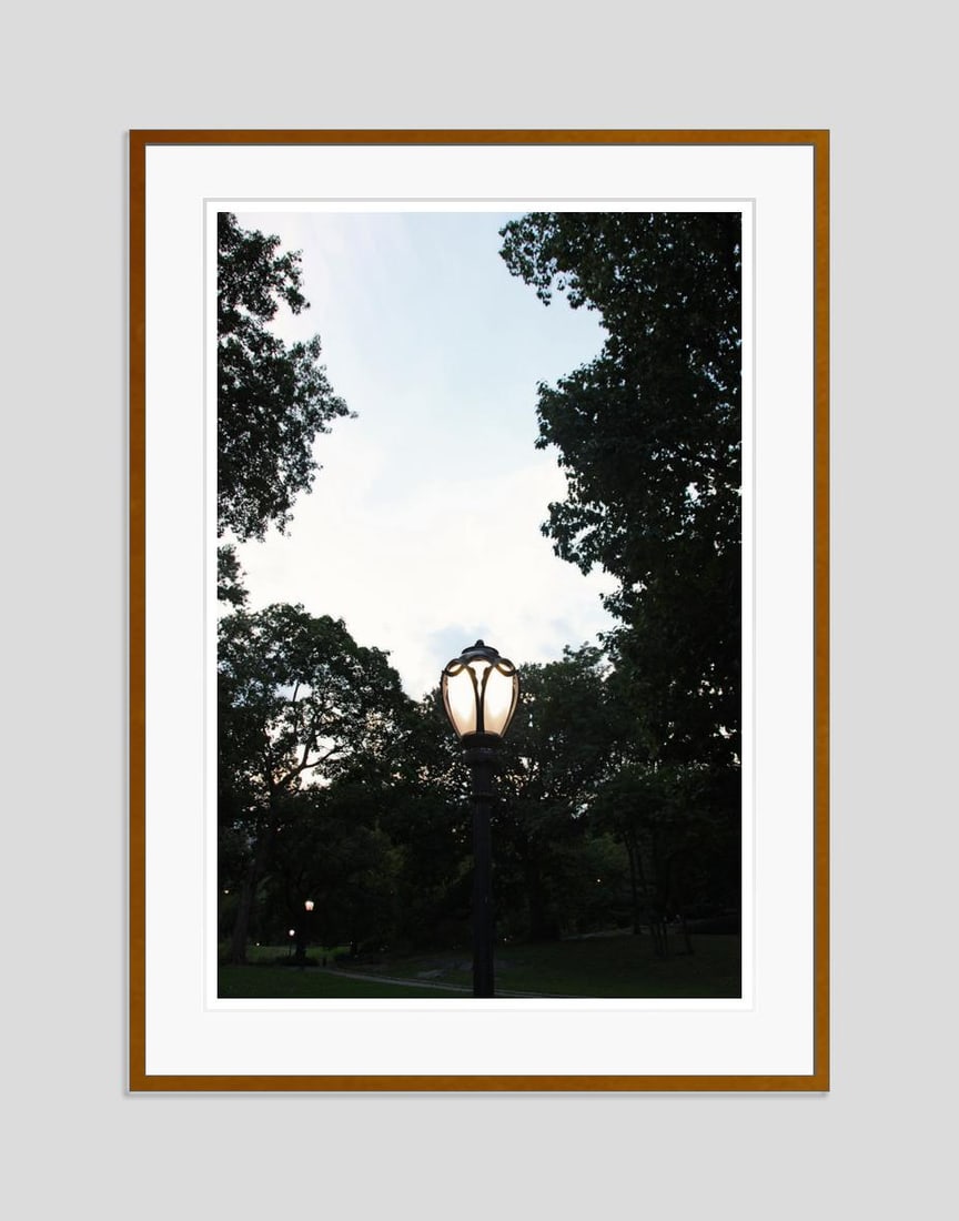 Light Symphony by Stuart Möller: 2023 - 5