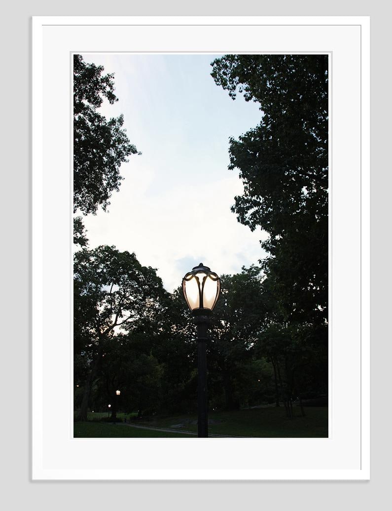 Light Symphony by Stuart Möller: 2023 - 7