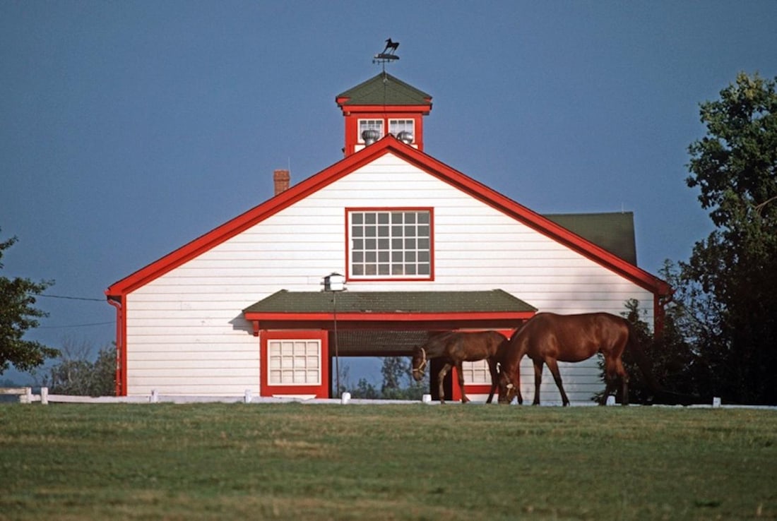 Thoroughbred Stables by Alain Le Garsmeur: 1984 (printed later): Title: Thoroughbred Stables by Alain Le Garsmeur: 1984 (printed later) Description: Thoroughbred Stables by Alain Le Garsmeur Thoroughbred horses in front of their stables on the Calumet horse farm,