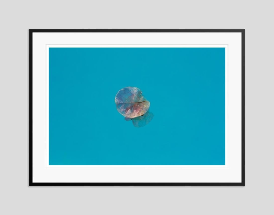 Istan Petal by Stuart Möller: 2023 - 2