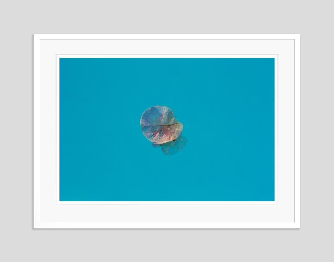 Istan Petal by Stuart Möller: 2023 - 3