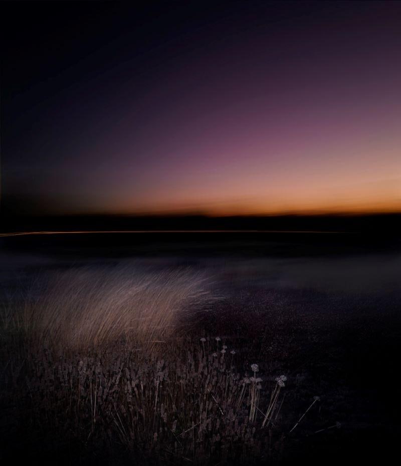 Nightjar By Justin Pumfrey: 2023 - 8