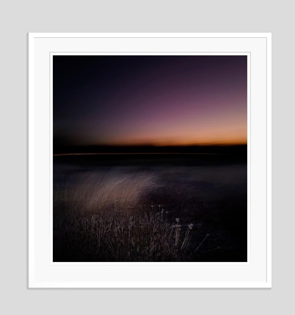 Nightjar By Justin Pumfrey: 2023 - 10