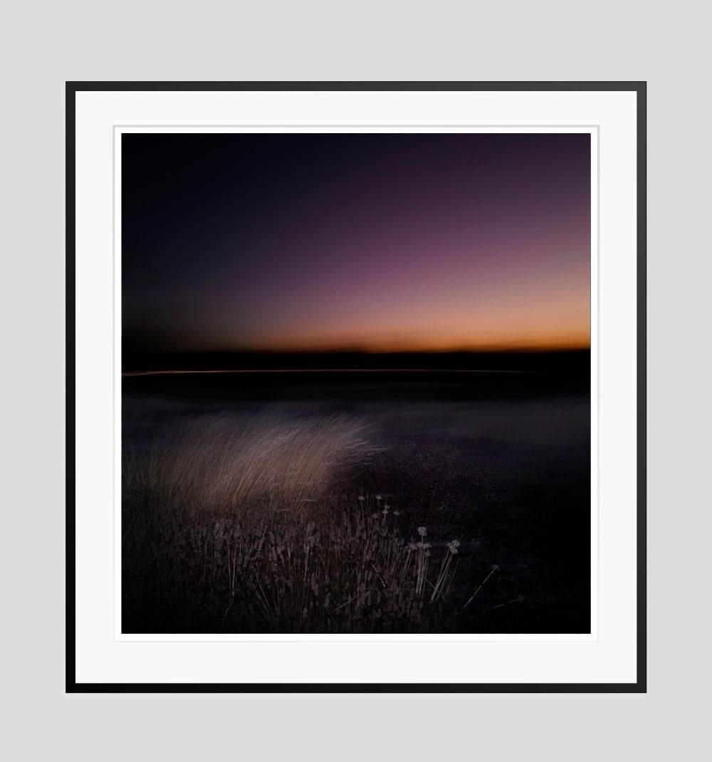 Nightjar By Justin Pumfrey: 2023 - 5