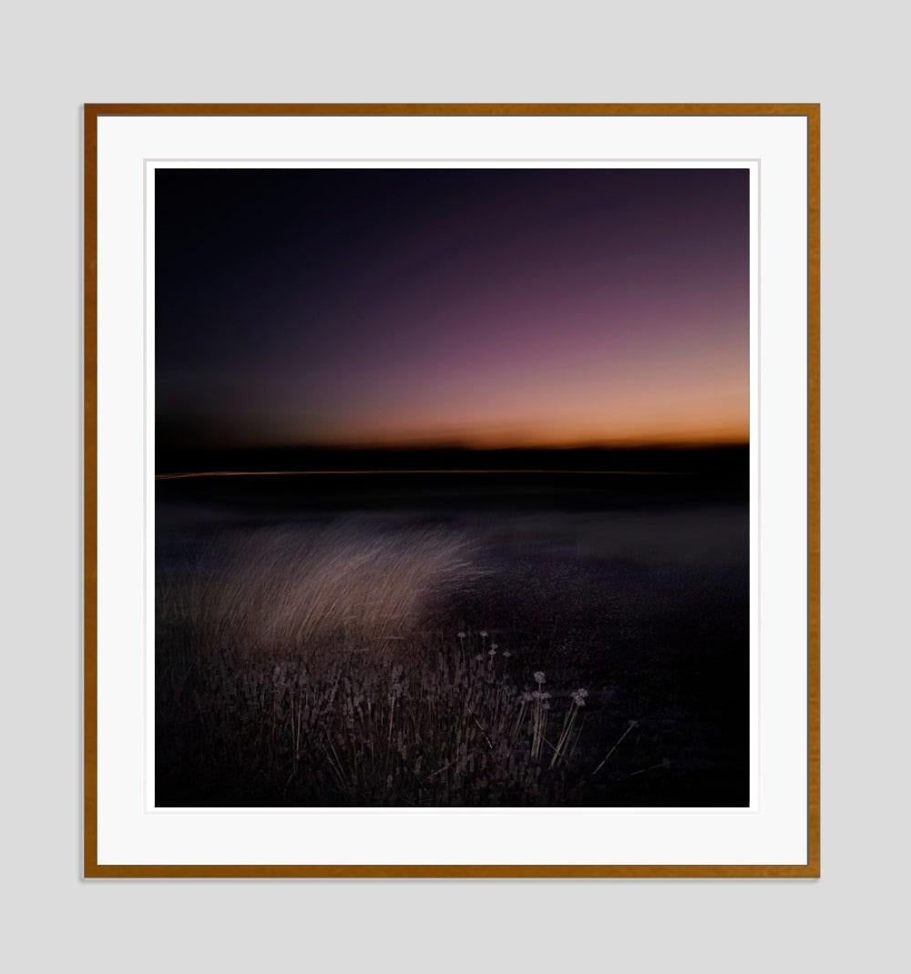 Nightjar By Justin Pumfrey: 2023 - 7