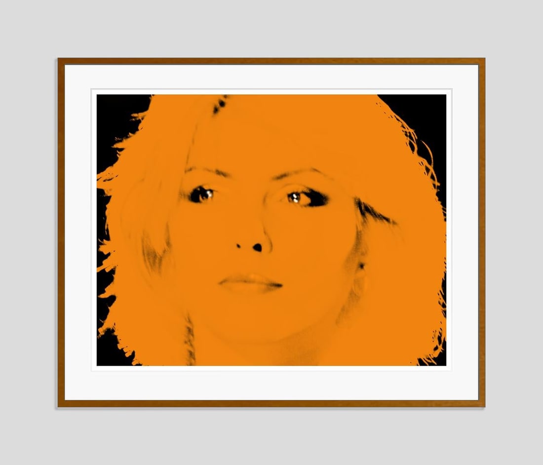 Blondie Orange by BATIK: 2023 - 5