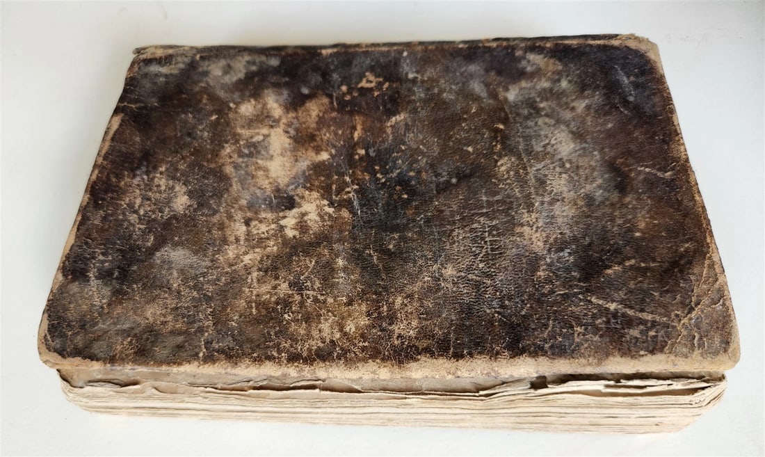 early 18th CENTURY MANUSCRIPT POETRY by AMIR KHUSRAU antique - 13