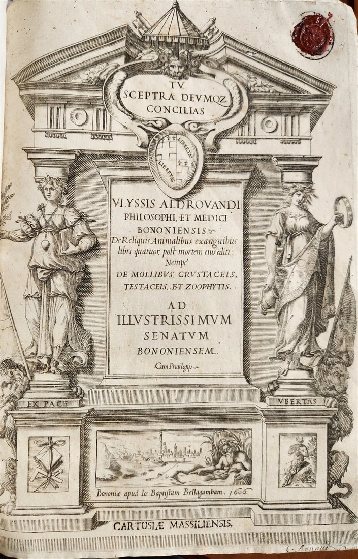 1605 ALDROVANDI TREATISE on MUSSELS SNAILS OCTOPUSES antique ILLUSTRATED FOLIO (1 of 15)