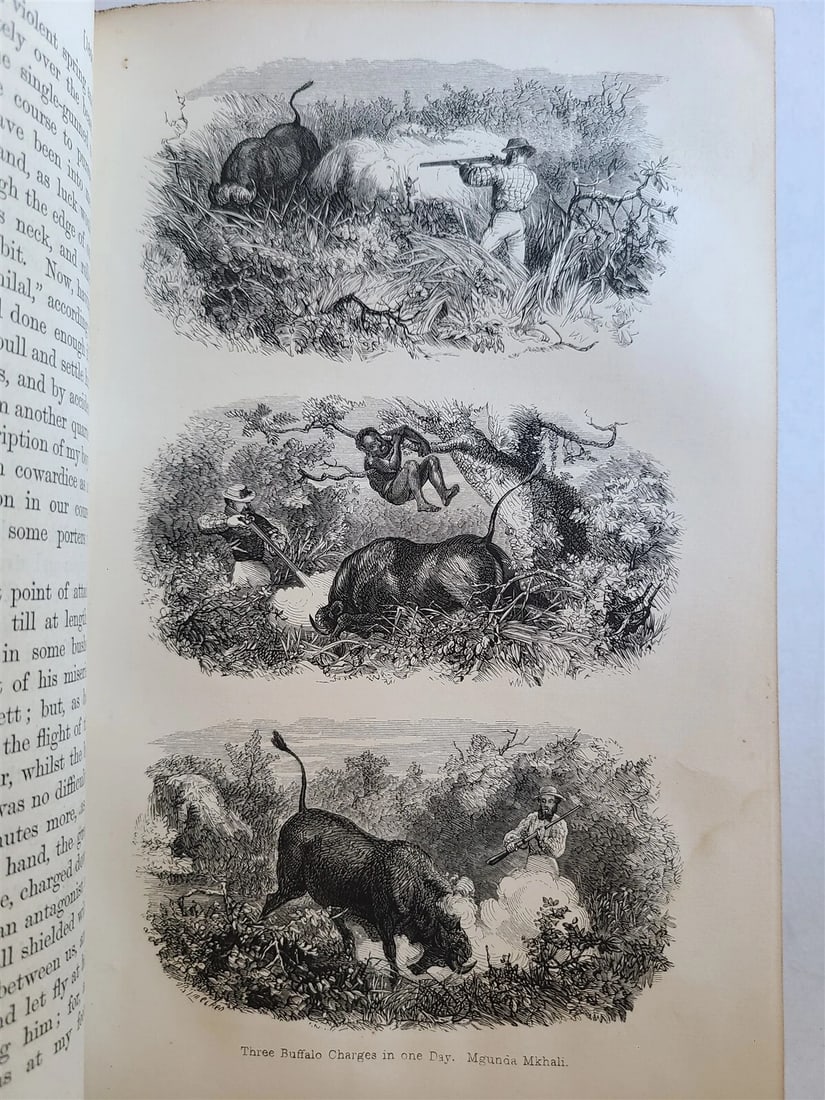 1863 JOURNAL of DISCOVERY of SOURCE of NILE antique ILLUSTRATED in ENGLISH - 7
