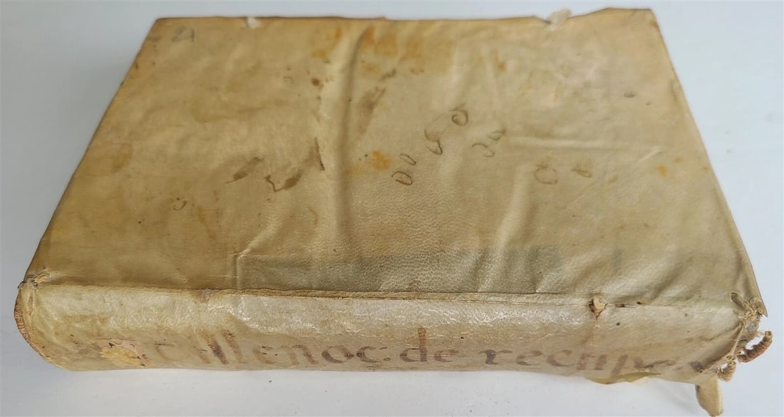 1566 LAW BOOK by Jacobus MENOCHIUS antique VELLUM BINDING 16th CENTURY - 10
