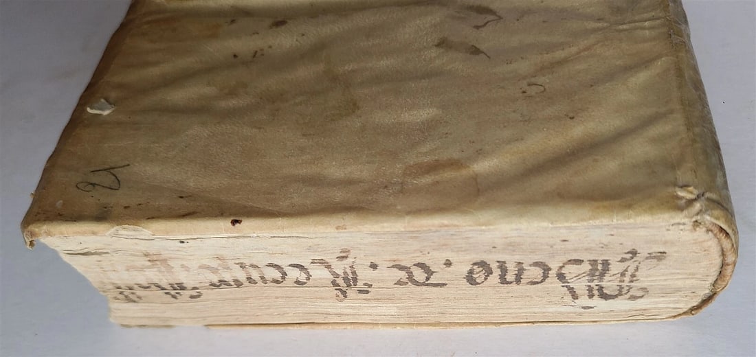 1566 LAW BOOK by Jacobus MENOCHIUS antique VELLUM BINDING 16th CENTURY - 4