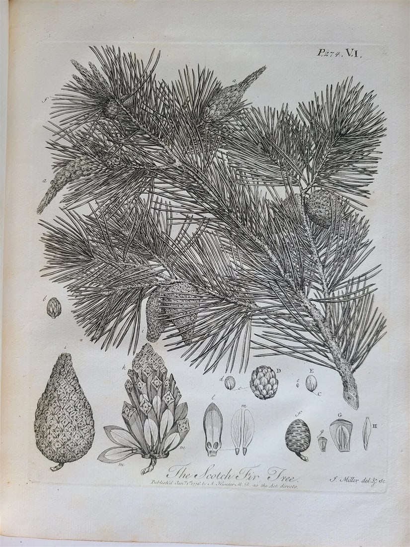 1786 SILVA: DISCOURSE OF FOREST TREES 2 VOLUMES ILLUSTRATED antique in ENGLISH - 10