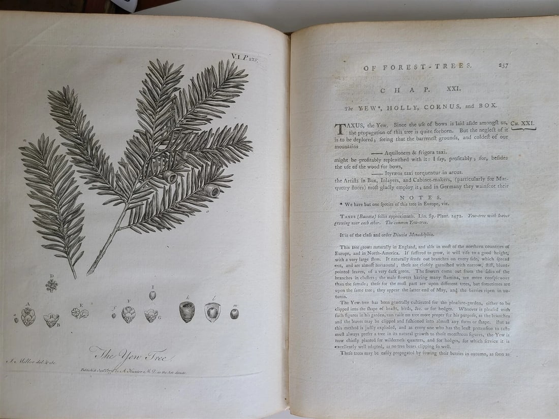 1786 SILVA: DISCOURSE OF FOREST TREES 2 VOLUMES ILLUSTRATED antique in ENGLISH - 11