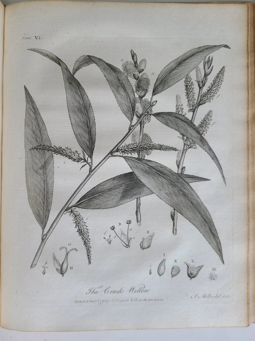 1786 SILVA: DISCOURSE OF FOREST TREES 2 VOLUMES ILLUSTRATED antique in ENGLISH - 12