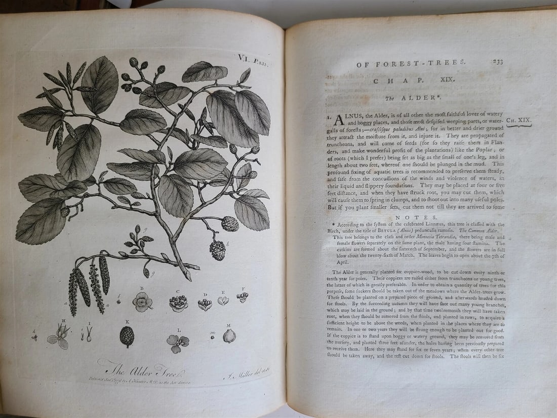 1786 SILVA: DISCOURSE OF FOREST TREES 2 VOLUMES ILLUSTRATED antique in ENGLISH - 13