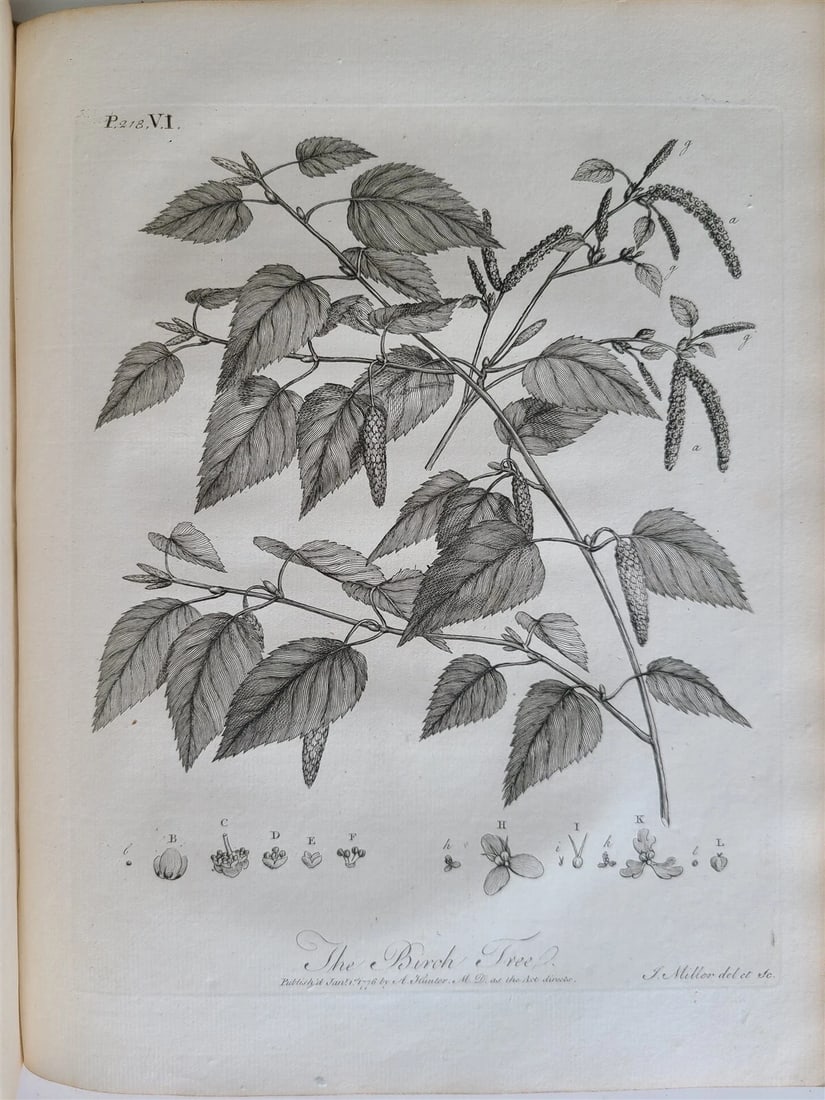 1786 SILVA: DISCOURSE OF FOREST TREES 2 VOLUMES ILLUSTRATED antique in ENGLISH - 14