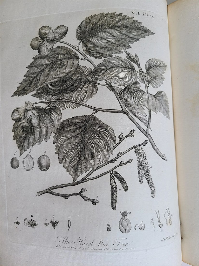 1786 SILVA: DISCOURSE OF FOREST TREES 2 VOLUMES ILLUSTRATED antique in ENGLISH - 15