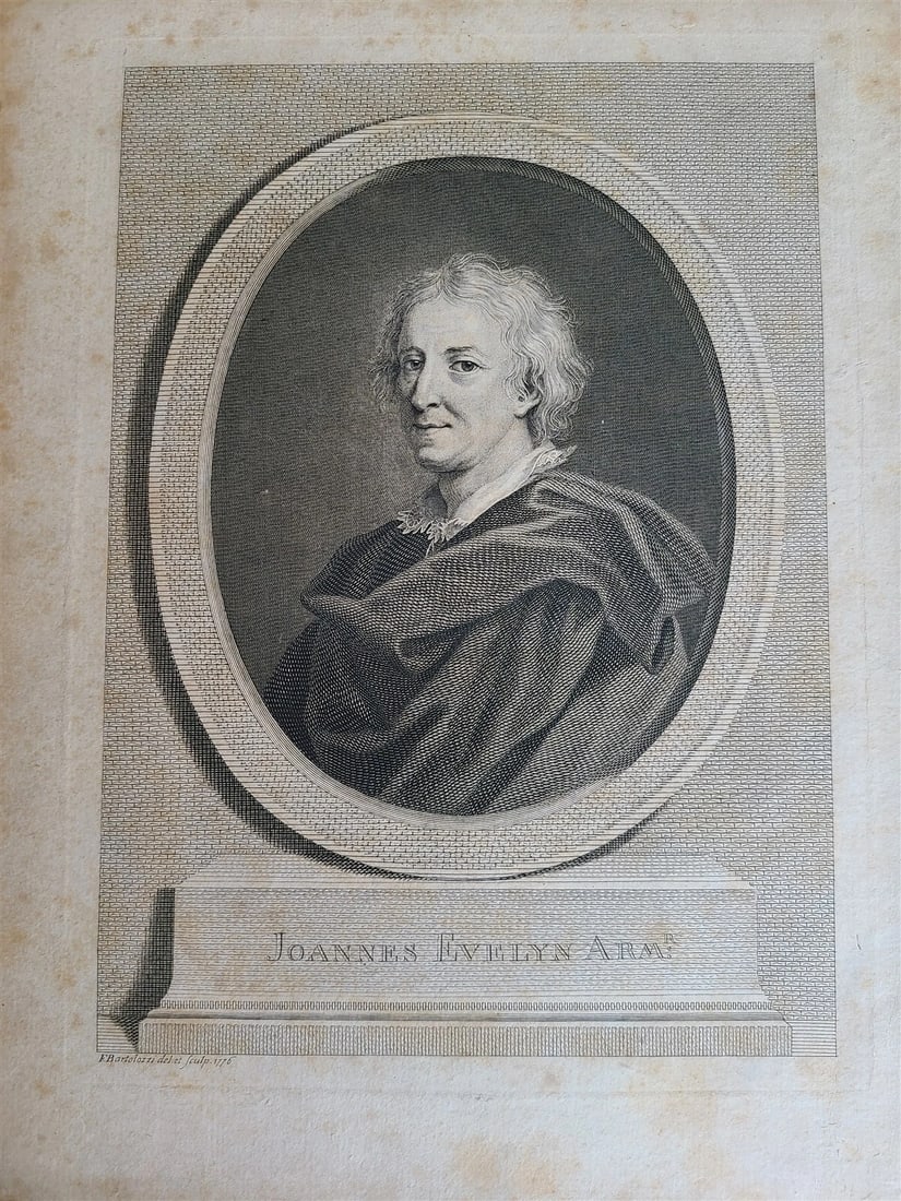 1786 SILVA: DISCOURSE OF FOREST TREES 2 VOLUMES ILLUSTRATED antique in ENGLISH - 3