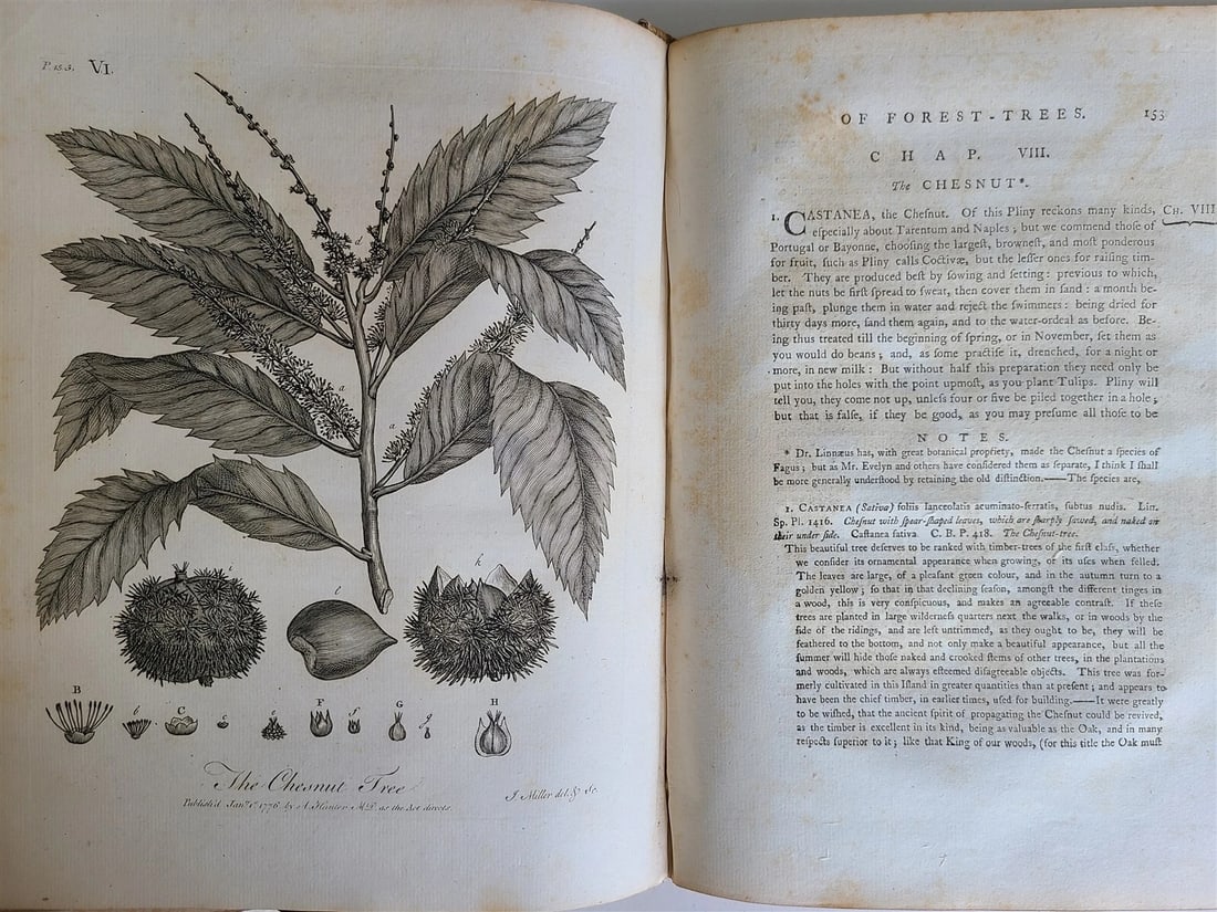 1786 SILVA: DISCOURSE OF FOREST TREES 2 VOLUMES ILLUSTRATED antique in ENGLISH - 6